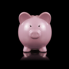 pink piggy bank