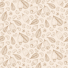 Cashew nut seed plant pattern. Hand drawn style. Retro vintage graphic design. Detailed botanical vector sketch for Organic Food, cosmetics component
