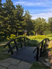 old wooden bridge in a tree environment park