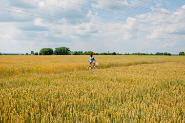 Wheat fields. Rich harvest. Beautiful girl riding bicycle happily. back view of woman riding vintage bicycle with basket in countryside. riding bicycle on agriculture field. travel and transport