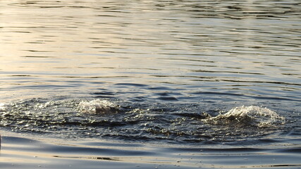 Drowning: splash on the water