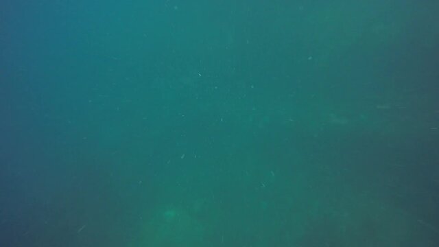 Descending to a ship wreck in Truk Lagoon