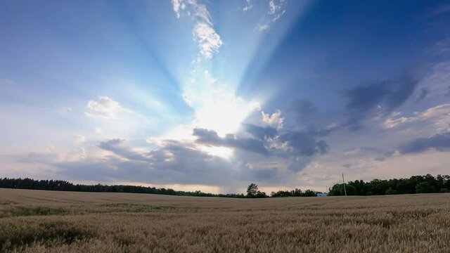Time-lapse of late afternoon clouds and with the sun breaking through over a wheat field in the Halton Hills, Ontario. Light rays and cloud motion.
