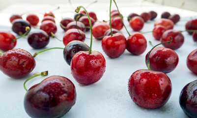 Red sweet cherry closeup on a white background. On the berries and background drops of water. Food background.