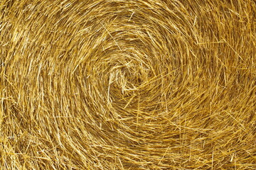 close up of straw bale