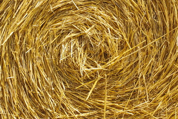 straw bale background