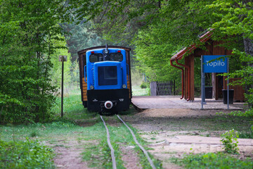 Polska , Puszcza Białowieska , maj 2019 , pociąg na stacji Topiło © Piotrmag45