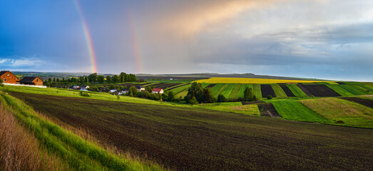Spring rapeseed and small farmlands fields after rain evening view, cloudy pre sunset sky with colorful rainbow and rural hills. Seasonal, weather, climate, eco, farming, countryside beauty concept.