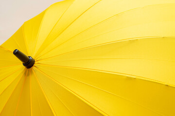 Yellow umbrella on white background. Autumn background.