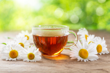 cup of herbal chamomile tea with fresh chamomile flowers