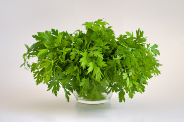 Bunch of pursley on white background.