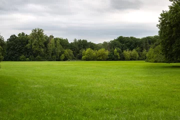 Foto op Plexiglas green field surrounded by trees on a cloudy day. cloudy sky. blurred background. High quality photo © Margo_Alexa