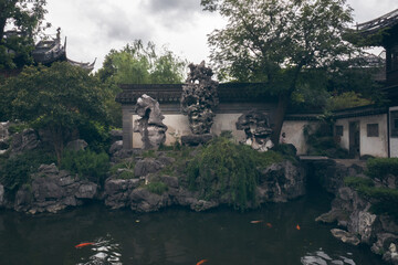 Fototapeta na wymiar Beautiful pond with little fishes, city of Shanghai China.