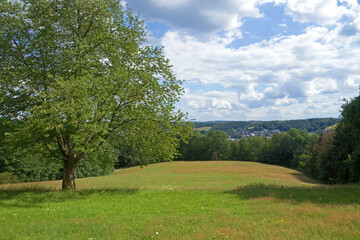 Wandern in der Naturregion Sieg 