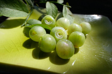 Mutation, White Blueberries