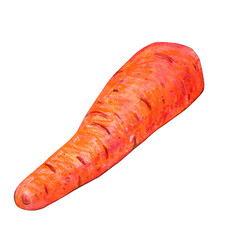 Carrot without leaves on a white background.