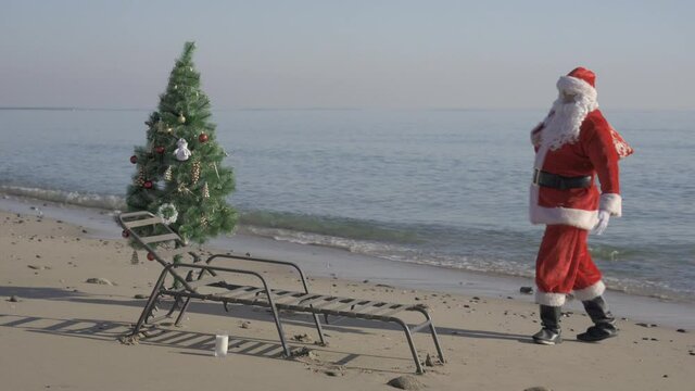Santa Claus lays on sunbed or chaise-longue on sea or beach, drinks milk, celebrate christmas with tree
