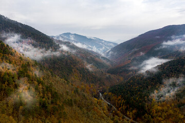 Obraz premium Snow-covered forest air of the mountains, snow, sea and stream coast
