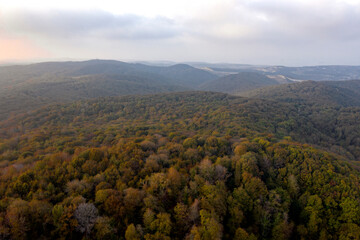 Scenic aerial view of a winding trekking path in a forest. Trekking path in the forest from above, drone view. Aerial view of footpath in forest.