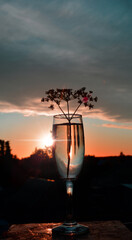 Fototapeta premium The night sky is reflected in a glass of wine. Sunset.