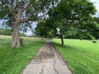 A footpath, between old trees and grass in, Northcliffe Park, Bradford, UK