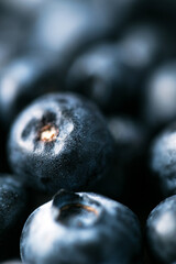 Beautiful blueberry close up background with deep shadows
