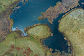 Scenic aerial view of a winding trekking path in a forest. Trekking path in the forest from above, drone view. Aerial view of footpath in forest.