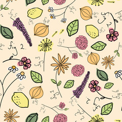 Vector seamless pattern with hand drawn medical herbs and spices. Perfect for wallpaper, fabric and scrapbooking