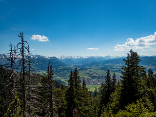 Grunten Guardian of the Allgau