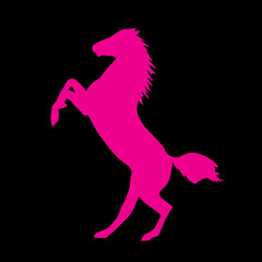Pink silhouette of a horse on a black background. Vector Illustration