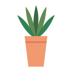 house pot plant on white background vector illustration design