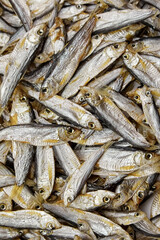 Dried salted sardelle or tulka fish texture.