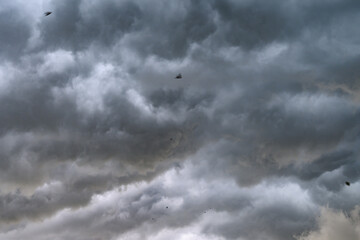 Cielo plumbeo con nuvoloni prima del temporale