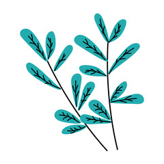 Hand-drawn Vector illustration of colored twigs with leaves with a fill and with a contour on a white background. Plants. Floral illustration. Flat.