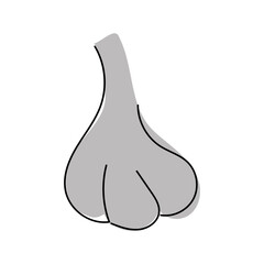 Vector illustration of garlic. Hot seasoning Healthy nutrition. Vegetables. Diet Food Ingredient. Hand-drawn clipart. Doodley.