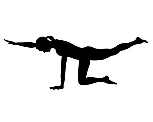 Fototapeta premium women to be trains fitnes sport aerobics, does yoga Pilates. Silhouette