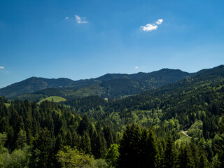 Grunten Guardian of the Allgau