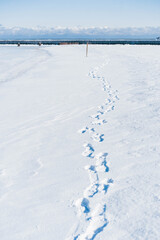 Fototapeta na wymiar Footprints on snow