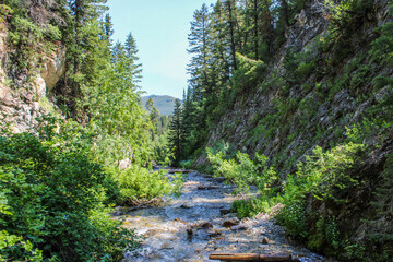 river in the mountains