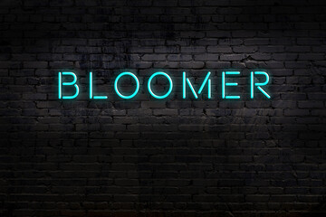 Neon sign. Word bloomer against brick wall. Night view