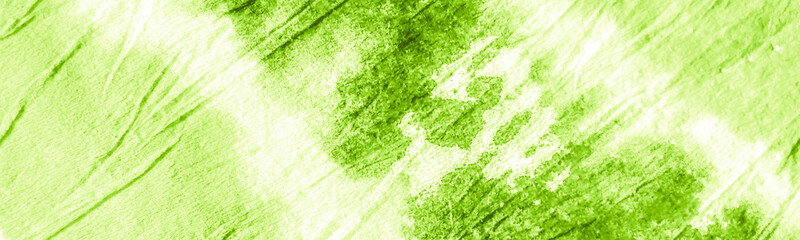 Grassy Color Fresh Bio Food Design. Leafy Color Watercolor Painting. Grungy Color Background. Lime Green Fresh Bio Food Design. Watercolor Brush Stroke. Fresh Bio Food Design.