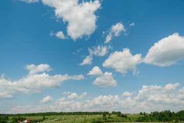Obraz premium green field and blue sky