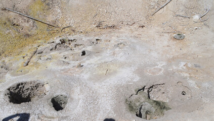 Late Spring in Yellowstone National Park: Grizzly Fumarole in the Mud Volcano Area Along the Grand Loop Road