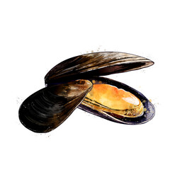 Mussels, watercolor isolated illustration of bivalve mollusks. © conceptcafe