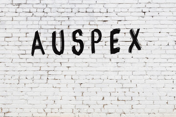 Inscription auspex painted on white brick wall