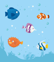 Naklejka na ściany i meble fishes marine animals in ocean, seaworld dwellers, cute underwater creatures, undersea vector illustration design