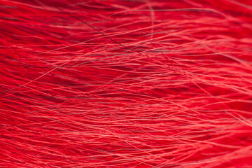 Obraz premium Bright red fur close-up, used as a background or texture. Soft focus