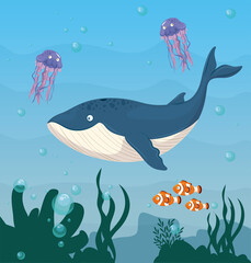 blue whale and wild marine animals in ocean, seaworld dwellers, cute underwater creatures, undersea fauna vector illustration design