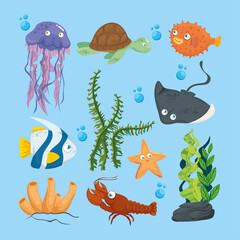 Obraz premium xxx and wild marine animals in ocean, sea world dwellers, cute underwater creatures, undersea fauna of tropic vector illustration design