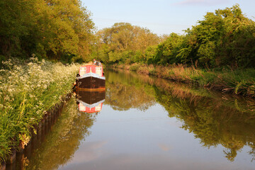 Beautiful canal in United Kingdom, featuring trees, water and boats